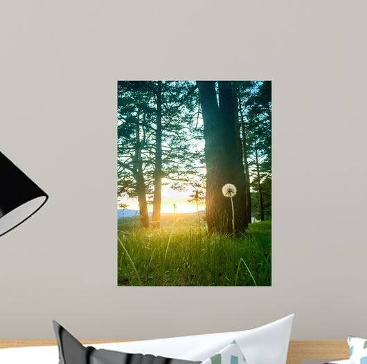 Diente Leon Iluminado Por Wall Decal