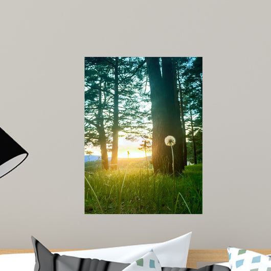 Diente Leon Iluminado Por Wall Decal
