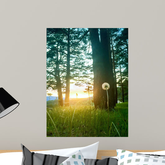 Diente Leon Iluminado Por Wall Decal