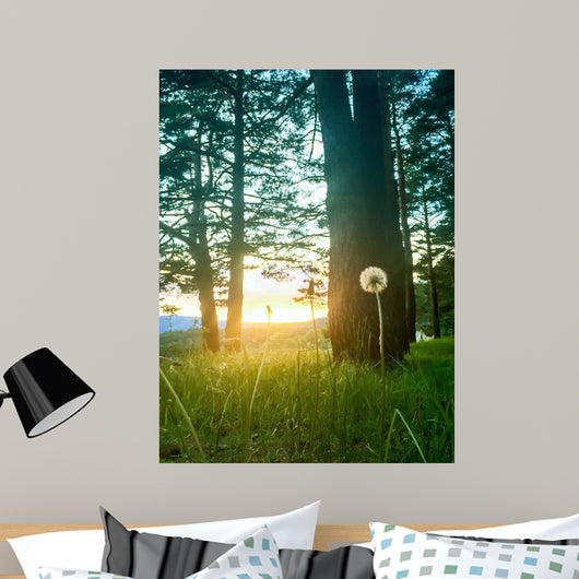 Diente Leon Iluminado Por Wall Decal