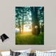 Diente Leon Iluminado Por Wall Decal