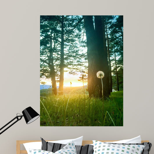 Diente Leon Iluminado Por Wall Decal
