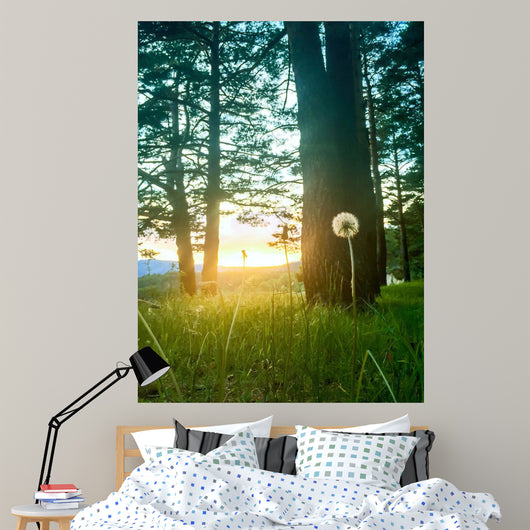 Diente Leon Iluminado Por Wall Decal