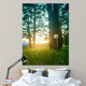 Diente Leon Iluminado Por Wall Decal