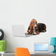 Dog Computer Pets Wall Decal