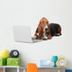 Dog Computer Pets Wall Decal
