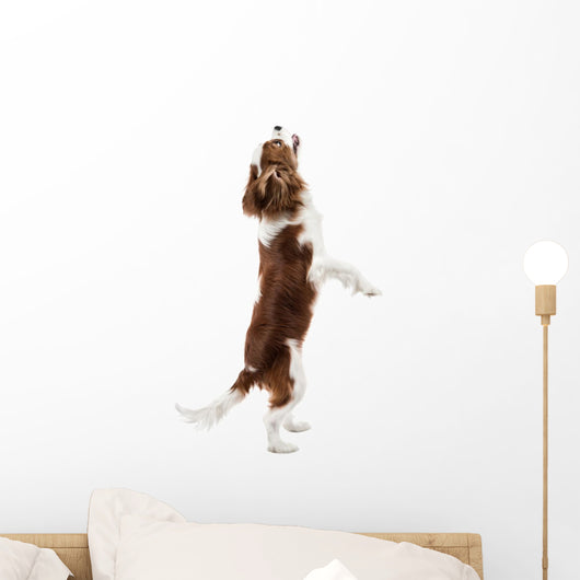 Cavalier King Charles Spaniel Wall Decal