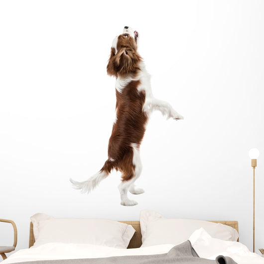 Cavalier King Charles Spaniel Wall Decal