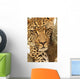 Leopard in a tree Wall Mural
