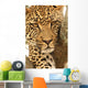 Leopard in a tree Wall Mural