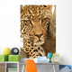 Leopard in a tree Wall Mural