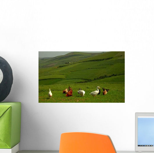 Lower Court Wall Decal