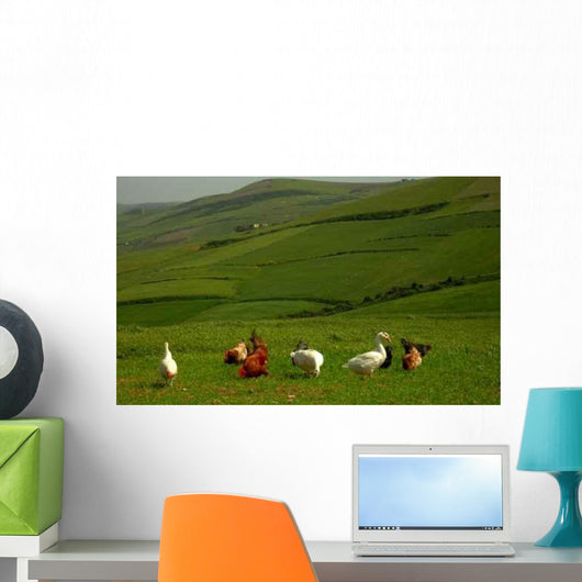 Lower Court Wall Decal