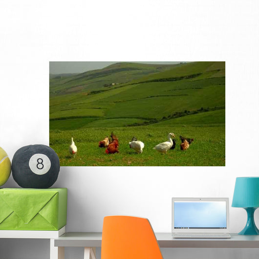 Lower Court Wall Decal