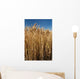 Detail Field Cereal Wall Decal