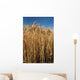 Detail Field Cereal Wall Decal
