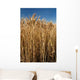 Detail Field Cereal Wall Decal
