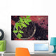 New Fresh Tomato Seedlings Wall Decal