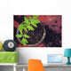 New Fresh Tomato Seedlings Wall Decal