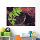 New Fresh Tomato Seedlings Wall Decal