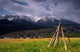 Tatra Wall Decal
