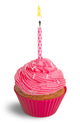 Birthday Cupcake Cake Wall Decal