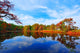 Autumn Reflections Pond near Wall Decal