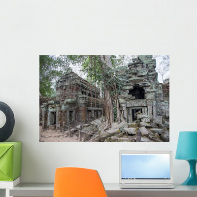 Ta Prohm Angkor Wat Wall Decal shown on a wall