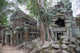 Ta Prohm Angkor Wat Wall Decal
