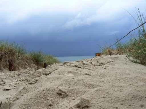 Baltic Sea Rise Wall Decal