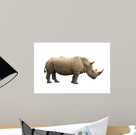 Rhinoceros Isolated Wall Mural