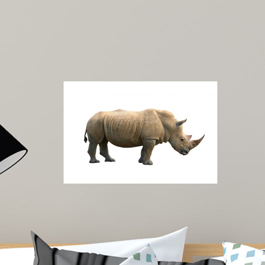 Rhinoceros Isolated Wall Mural