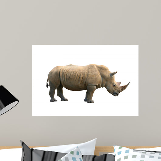 Rhinoceros Isolated Wall Mural