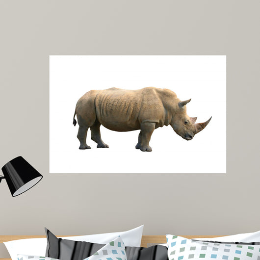Rhinoceros Isolated Wall Mural