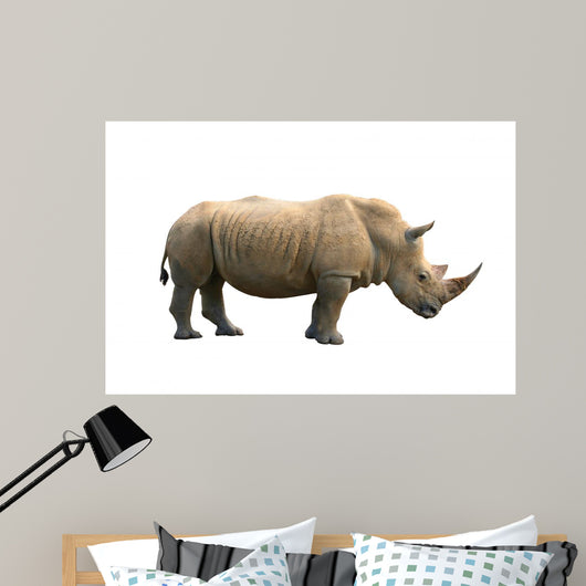 Rhinoceros Isolated Wall Mural