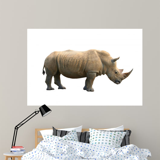 Rhinoceros Isolated Wall Mural
