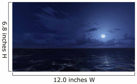 Calm Ocean under Starry Wall Decal