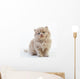 British Long Hair Kitten Wall Decal