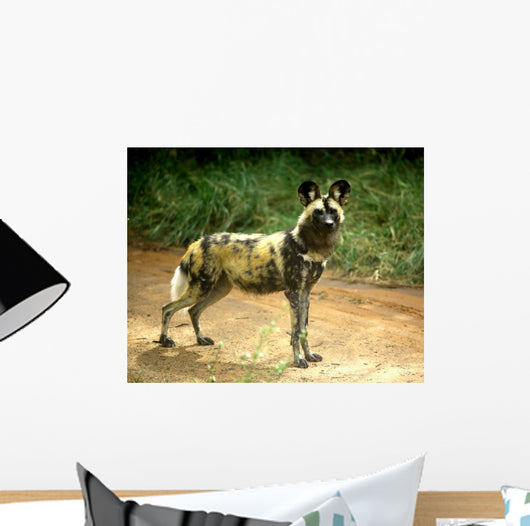 African Wild Dog Lycaon Wall Decal