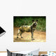 African Wild Dog Lycaon Wall Decal