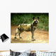 African Wild Dog Lycaon Wall Decal