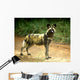 African Wild Dog Lycaon Wall Decal