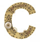 Steampunk Alphabet Letter C Wall Decal