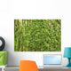 Oak Bark with Green Wall Decal
