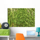 Oak Bark with Green Wall Decal