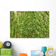 Oak Bark with Green Wall Decal