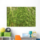 Oak Bark with Green Wall Decal