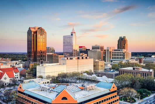 Raleigh North Carolina City Scape Wall Decal