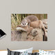 Cuddles Wall Decal