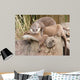 Cuddles Wall Decal